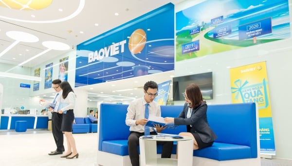 Baoviet Fund -  Công ty Quản lý Quỹ tốt nhất Việt Nam năm 2019