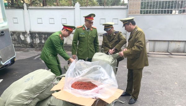 Bắc Giang thu giữ gần 1 tấn nguyên liệu thuốc bắc nhập lậu 