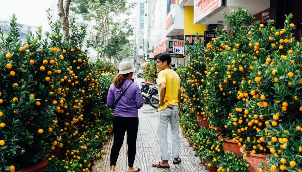 Đà Nẵng: Người bán hoa phấn khởi vì hoa Tết được mùa, được giá