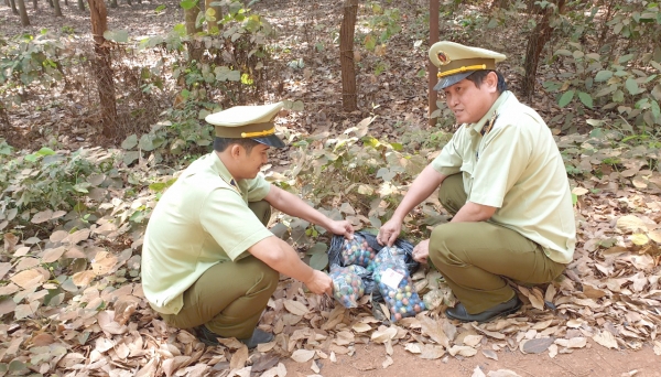 Bắc Giang bắt giữ đối tượng tàng trữ trên 62 kg pháo nổ