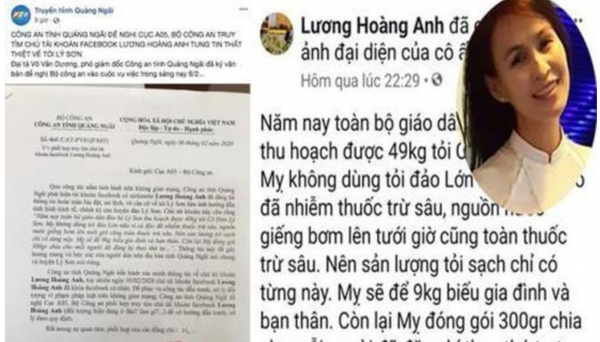 Xử phạt nữ facebooker đăng 'tin vịt' tỏi Lý Sơn nhiễm thuốc trừ sâu 