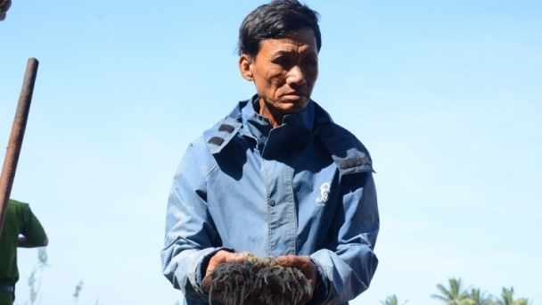 Điều tra nguyên nhân tôm chết trắng trong hồ ở Quảng Nam