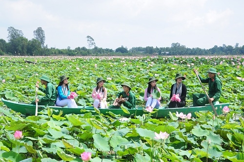 Lượng du khách đến Đồng Tháp giảm hơn 44% trong năm 2021