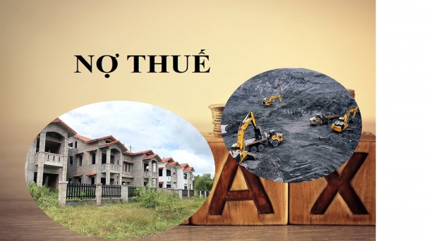 Nhiều dự án thuê đất, sử dụng đất chậm nộp thuế vì chưa đi vào hoạt động