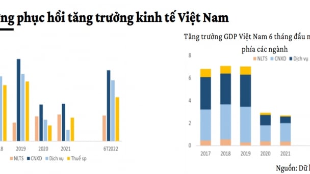 Bức tranh phục hồi kinh tế và tăng trưởng của Việt Nam