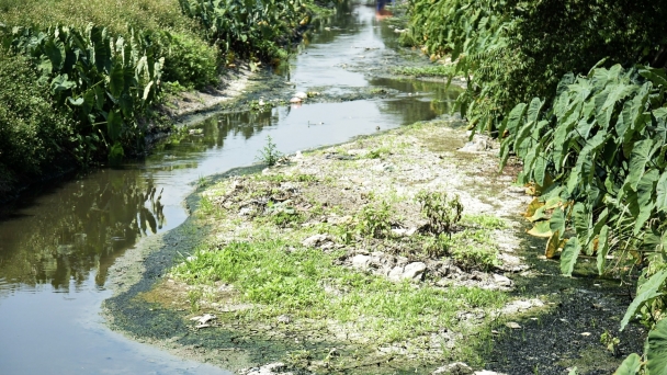 Ảnh hưởng rác và nước thải công nghiệp, nông dân ngoại thành Hà Nội kêu trời vì năng suất giảm mạnh