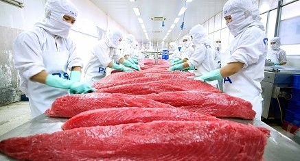 Xuất khẩu cá ngừ sang EU tăng trong 2 tháng liên tiếp