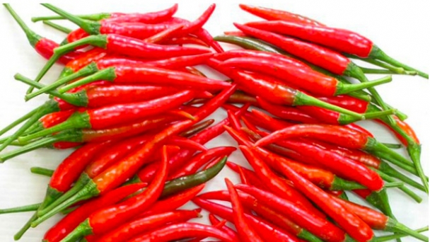 Hàn Quốc siết chặt kiểm tra ớt nhập khẩu từ Việt Nam