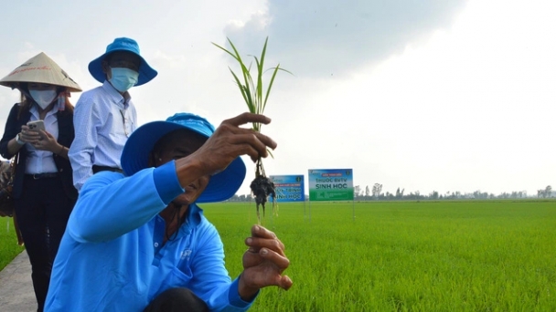 Lạng Sơn: Mở rộng các mô hình khuyến nông, nâng cao chất lượng sản phẩm