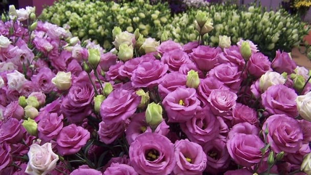 5 loại hoa nên cắm trên bàn thờ dịp Tết để rước lộc vào nhà, may mắn cả năm