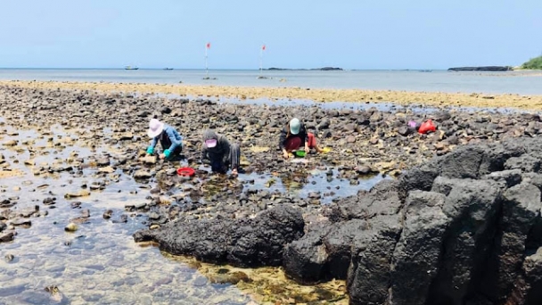 Ngôi làng chài cổ độc nhất vô nhị ở miền Trung, có đến hơn nửa cư dân trong vùng sở hữu cổ vật quý hiếm