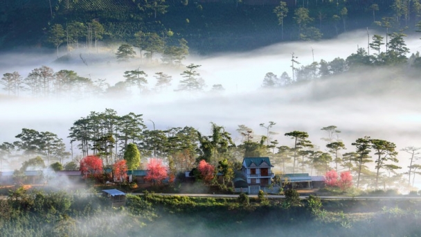 Ngôi làng tọa lạc trên cung đường hoa và biển, quanh năm ẩn mình trong sương mù, là bối cảnh phim của nhà sản xuất Việt nghìn tỷ