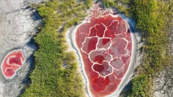 Phát hiện hồ nước 'trái tim màu đỏ' nằm giữa sa mạc rộng 42.700km2, tuổi thọ lên tới 100 năm, là 'trái tim của thế giới'