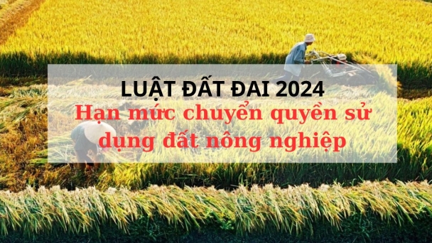 Luật Đất đai 2024 đi vào đời sống, hạn mức nhận chuyển quyền sử dụng đất nông nghiệp có thay đổi