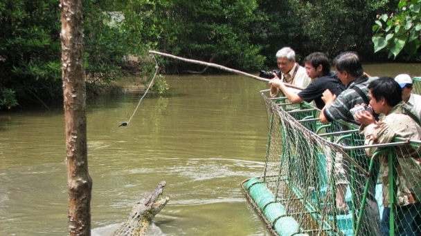 Chinh phục thử thách câu cá sấu giữa khu sinh thái bền vững của thế giới tại Việt Nam