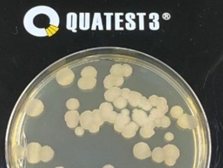 QUATEST 3 triển khai phương pháp định lượng Bacillus subtilis trong chế phẩm sinh học