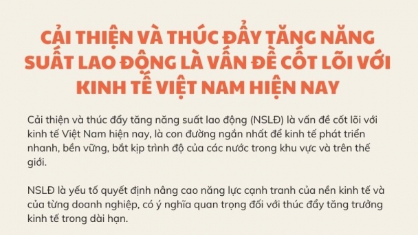 [Infographic] Cải thiện và thúc đẩy tăng năng suất lao động là vấn đề cốt lõi với kinh tế Việt Nam hiện nay