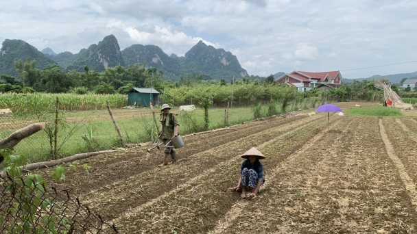 Đẩy nhanh phục hồi sản xuất nông nghiệp, ổn định đời sống nhân dân sau bão số 3