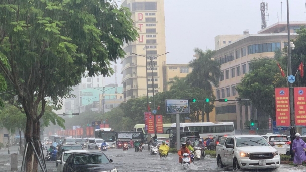 Đà Nẵng cho học sinh nghỉ học, tạm dừng tham quan bán đảo Sơn Trà do mưa lớn