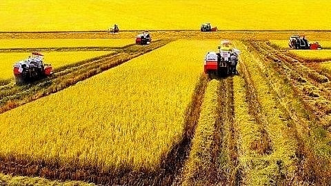 Đồng bằng sông Cửu Long vẫn gặp khó trong thu hút vốn đầu tư