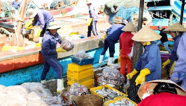 Cục Thủy sản và kiểm ngư đưa ra khuyến cáo đối với người dân, doanh nghiệp