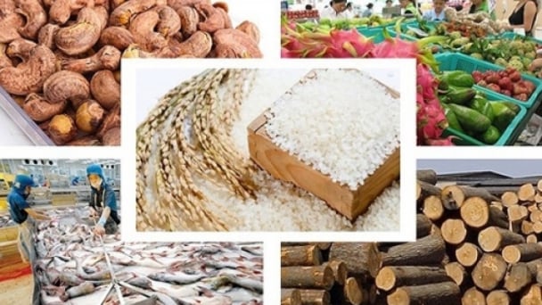 Triển khai chương trình tín dụng trên 100 nghìn tỷ đồng với lĩnh vực nông, lâm, thủy sản