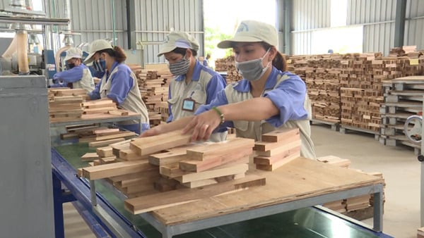 Xây dựng hệ thống cảnh báo sớm các vụ kiện phòng vệ thương mại