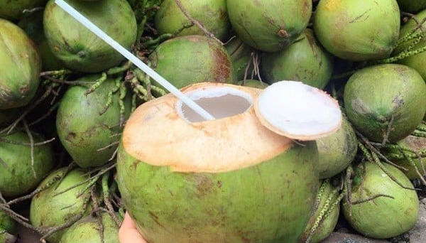 Dừa tươi tăng giá gấp đôi vì nắng nóng