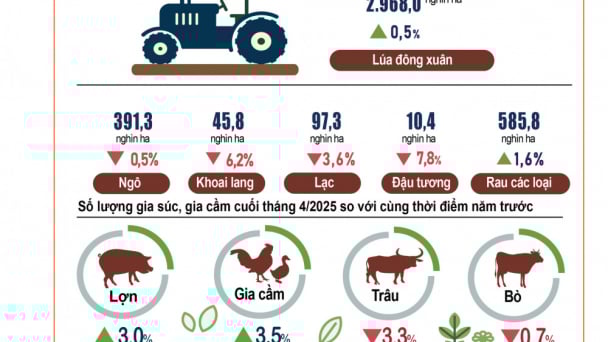 Tình hình kinh tế - xã hội tháng 4 và 4 tháng đầu năm 2025