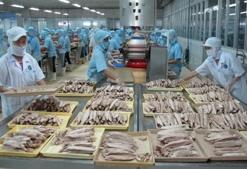 Nhiều cơ hội đẩy mạnh xuất khẩu cá ngừ sang Nga
