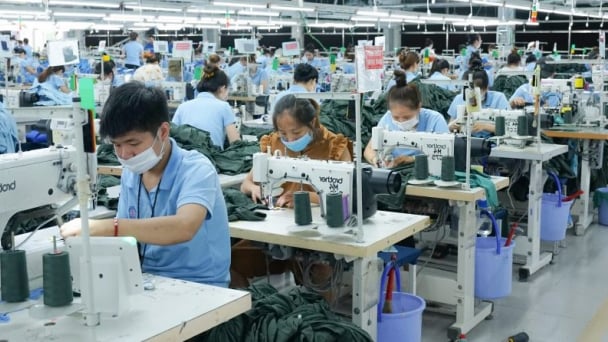 Sau gần 10 năm, Vinatex đề xuất không chia cổ tức cho cổ đông