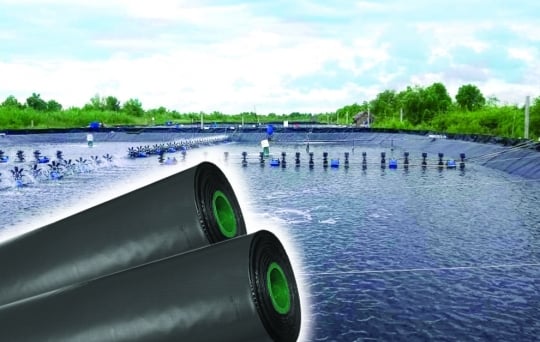 ISO 9001 giúp nâng cao năng suất trong ngành bao bì