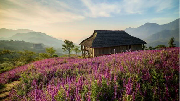 Khám phá điểm đến ‘mặc áo đông giữa mùa hè’ Fansipan