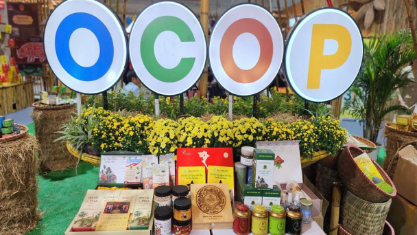 Lâm Đồng nâng chuẩn OCOP, tăng sức cạnh tranh cho đặc sản địa phương