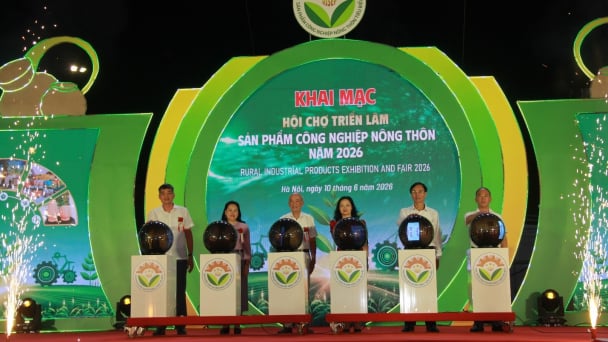 Kết nối thị trường để nâng cao chất lượng và giá trị sản phẩm nông thôn