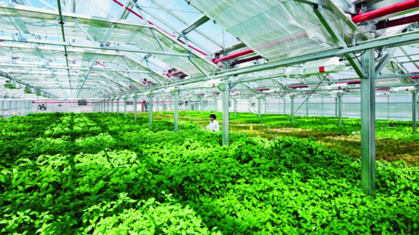 Điều kiện thành lập khu nông nghiệp ứng dụng công nghệ cao