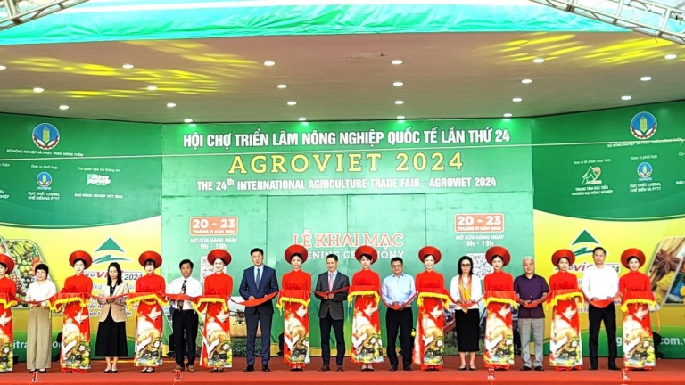 Đưa nông sản Việt Nam lên sàn thương mại điện tử và mạng xã hội Trung Quốc