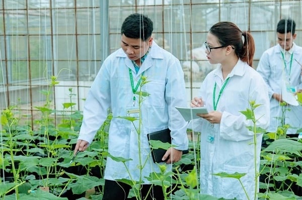 Ngành học không lo thất nghiệp nhưng ít người lựa chọn, ra trường 'hái ra tiền', thị trường luôn khát nhân lực