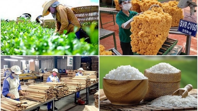 6 tháng đầu năm, xuất khẩu nông lâm thủy sản tăng 15,5%