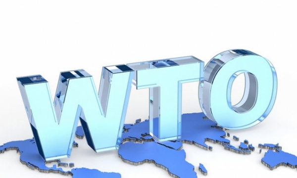 Thực thi nghĩa vụ Minh bạch hóa trong vấn đề cải cách WTO
