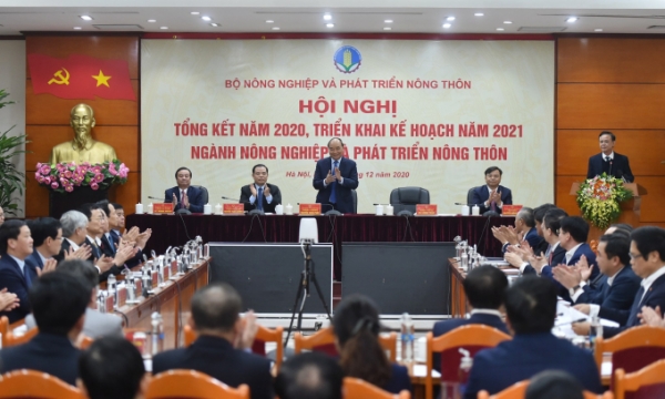Thủ tướng dự Hội nghị trực tuyến tổng kết năm 2020 triển khai kế hoạch năm 2021 ngành NN&PTNT