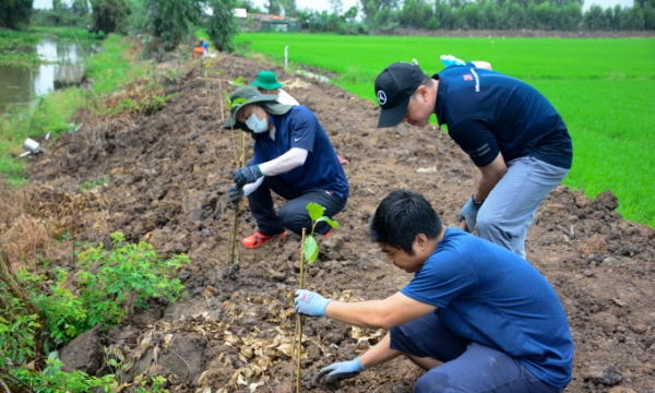 3M cùng WWF - Việt Nam trồng 8000 cây xanh, khẳng định cam kết phát triển bền vững