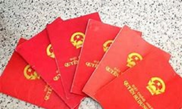 Bà Rịa - Vũng Tàu: Một sổ đỏ đất nông nghiệp có hơn 100 người đứng tên