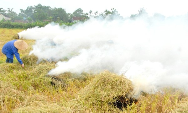 Bộ Tài nguyên và Môi trường yêu cầu xử lý nghiêm việc đốt rơm rạ gây ô nhiễm