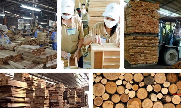 Hiệp định CPTPP Việt Nam – Peru: Cơ hội mở cửa thị trường cho hàng hóa xuất khẩu của Việt Nam