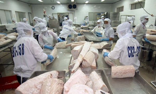 Trong 6 tháng đầu năm 2021, xuất khẩu cá ngừ đạt 355 triệu USD