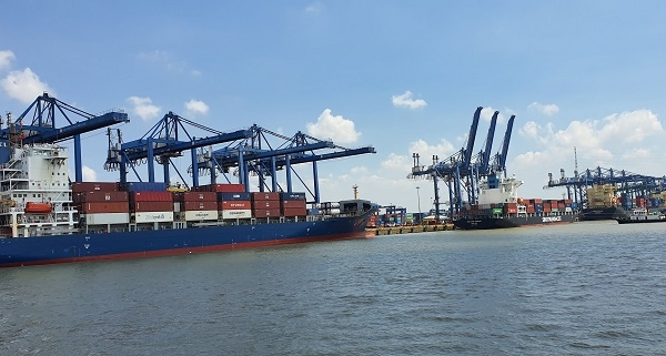 TP.HCM: Cảng Cát Lái tạm ngưng tiếp nhận hàng nhập khẩu