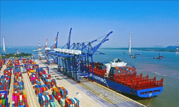 Đề xuất giảm phí lưu container, lưu kho cho hàng hóa ở cảng biển