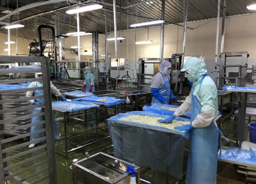 Những nhà máy thực hiện ‘3 tại chỗ’ được hỗ trợ mua lương thực
