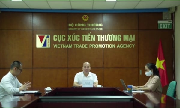 Kết nối thanh long Việt Nam với các thị trường xuất khẩu tiềm năng